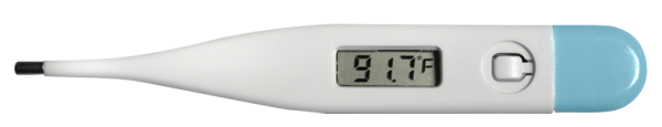 BPL DIGITAL THERMOMETER