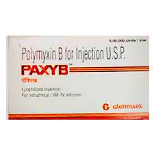 Paxyb Injection